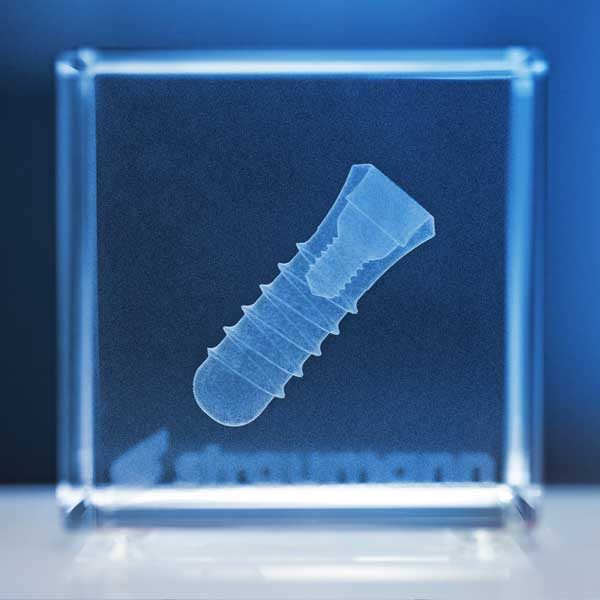 Dr. Petra Mansfeld – Implantologie – fester Zahnersatz auf Implantaten